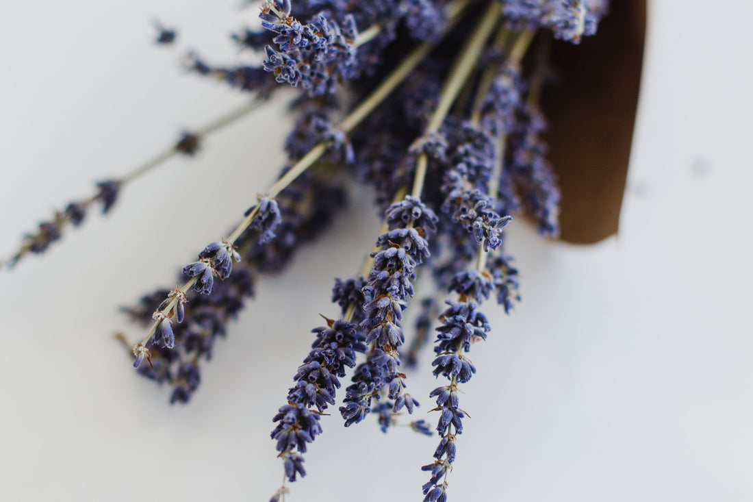 The Power of Scent when Making Decisions